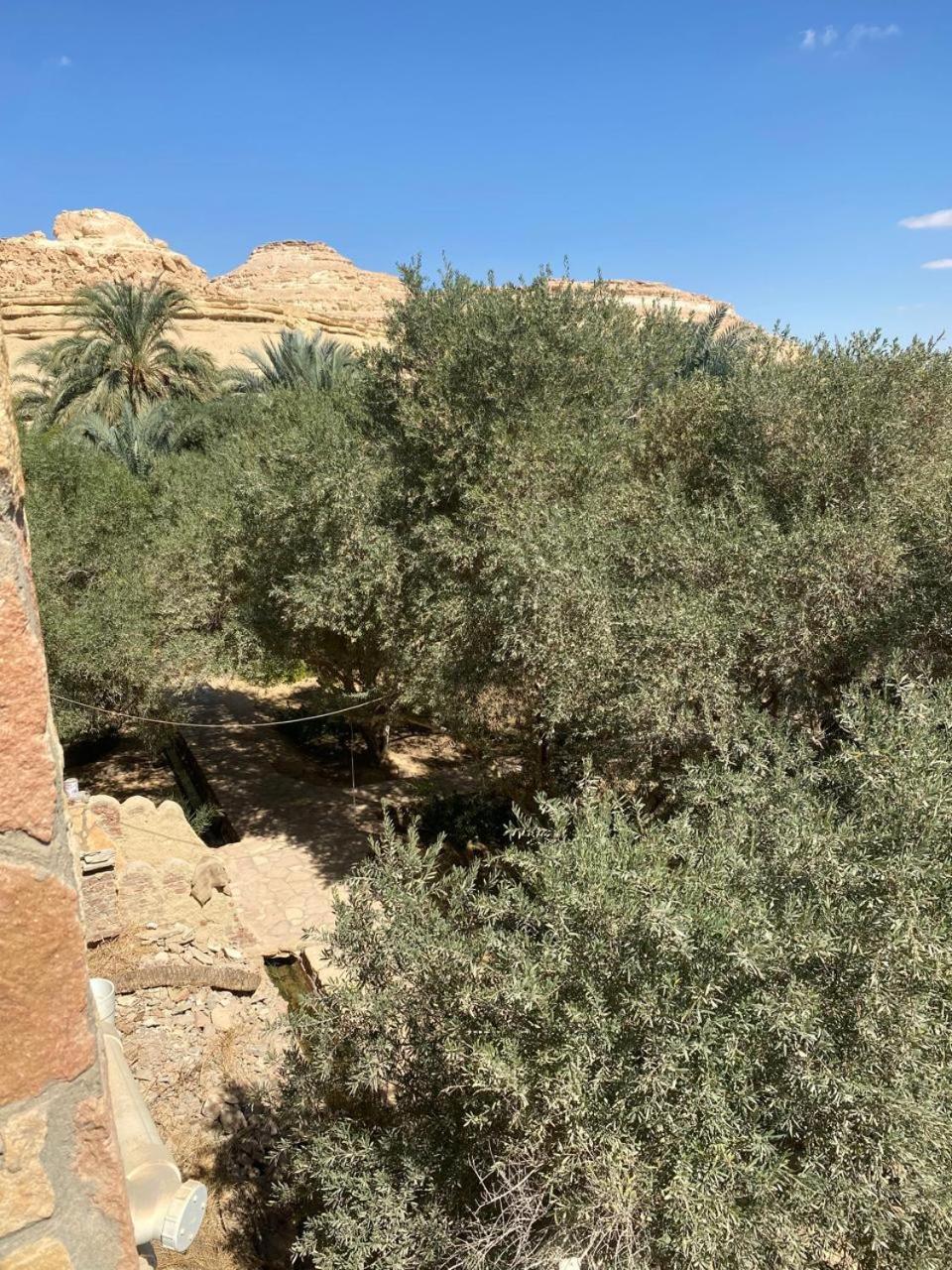 Siwa Oasis Fada Morgana酒店 外观 照片