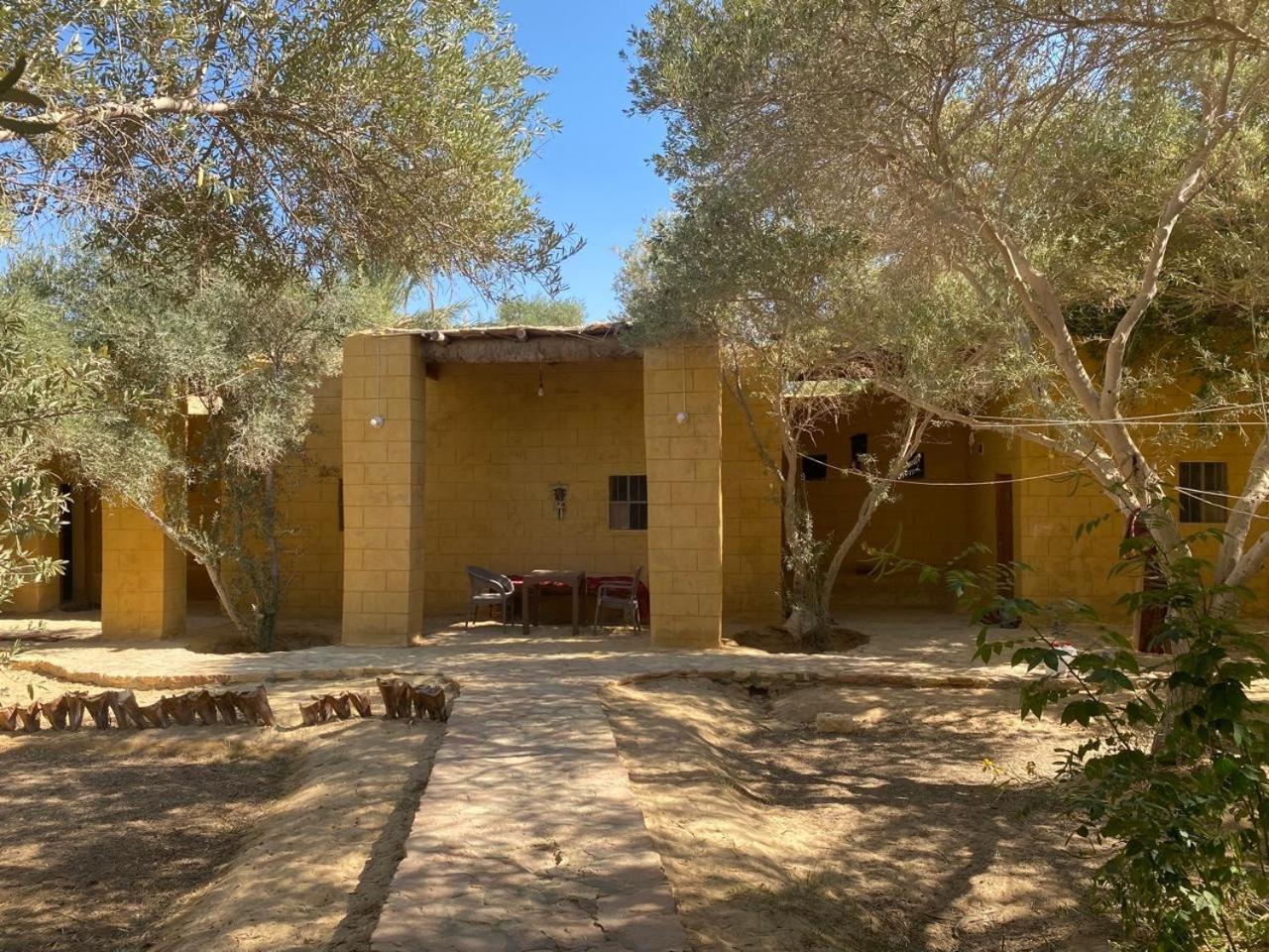 Siwa Oasis Fada Morgana酒店 外观 照片